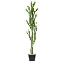 Vickerman 80" Artificial Green Cactus, Black Plastic Planters Pot.