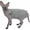 Grey, variant on Cotton Sphynx Cat Clothes Vest for Hairless Cat Knit Stripe T-Shirt Apparel Kitten Summer Shirts for Devon Rex