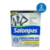 (2 Pack) Salonpas Maximum Strength Pain Relieving Gel-Patch, 6 ct