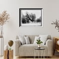 thumbnail image 4 of Historic Framed Print, Washington Elm, Cambridge, 17-7/8" x 21-7/8", 4 of 9