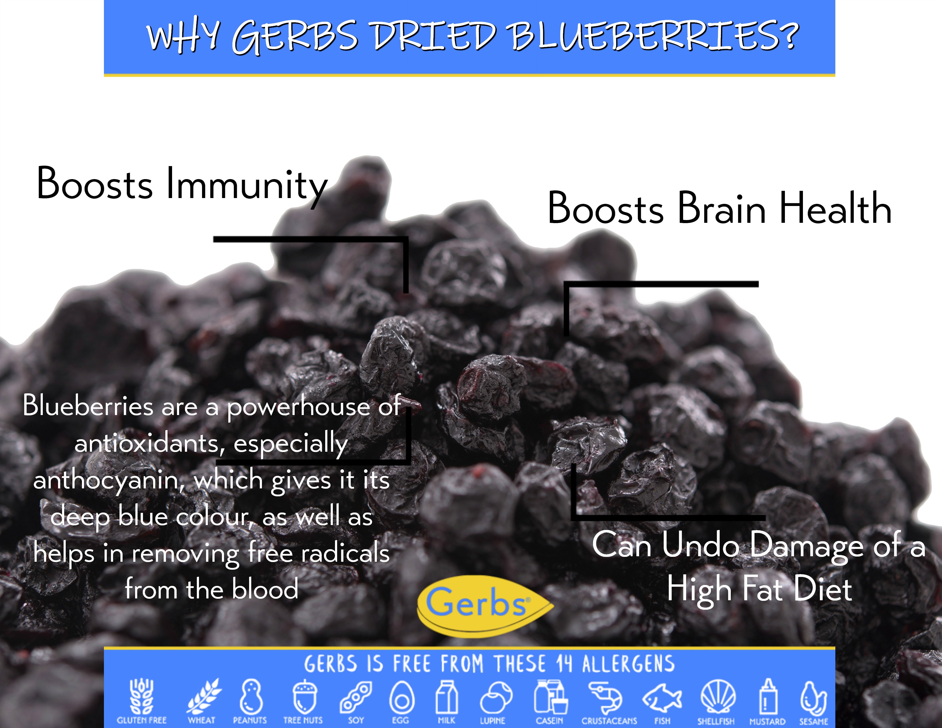 Dried Blueberries by Gerbs - 2 LBS - Sweetened - Unsulfured - Top 14 Food Allergen Free & NON GMO