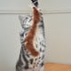 thumbnail image 2 of 6 uds varitas de burla de felpa para gatitos, varitas de burla interactivas para gatos, 2 of 3