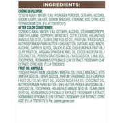 Garnier Nutrisse Nourishing Hair Color Creme, B4 Caramel Chocolate