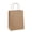 Brown, variant on Gift Bags 8x4.25x10.5 100Pcs Brown Paper Gift Bags with Handles Bulk for Wedding, Party Favor, Grocery, Shopping, Retail, Merchandise Medium Kraft Paper Sacks
