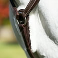 thumbnail image 4 of Equinavia Saga 5-point Breastplate, 4 of 6