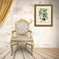 thumbnail image 3 of Unknown  19x24 Gold Ornate Wood Framed with Double Matting Museum Art Print Titled - Antique Greenery V, 3 of 4
