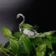 thumbnail image 1 of Jarrón de vidrio creativo, artesanías, pájaro hidropónico, animal, planta, mango largo, dispositivo de riego automático de vidrio, 1 of 2