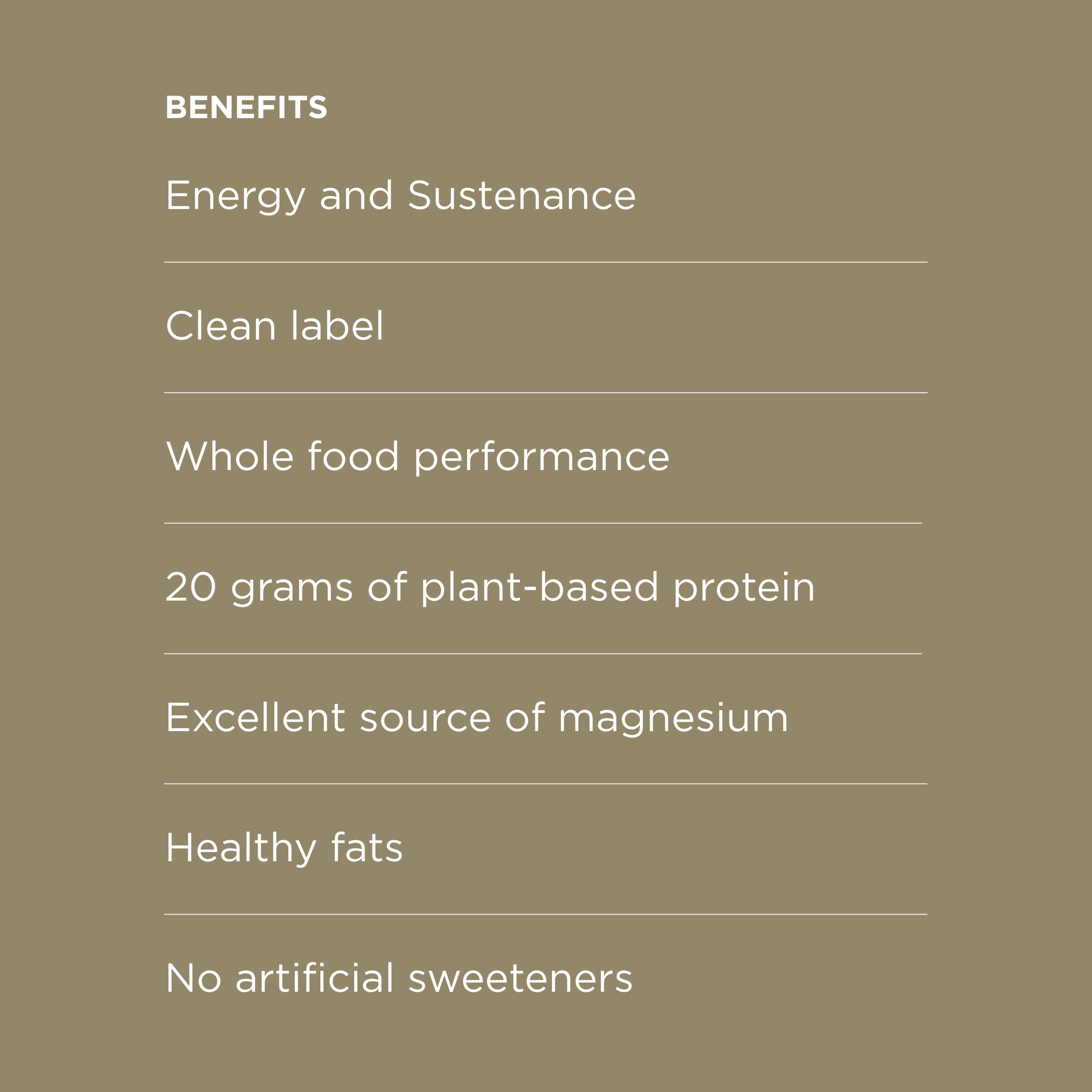 Possible Meal Bar - High Protein Energy Bars 20 Grams Organic Plant-Based Protein, Vegan, Gluten-Free, Non-Dairy - 1 Box, 10 Bars - Chocolate Almond