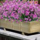 thumbnail image 2 of paquetes de flores artificiales para exteriores, arbustos, plantas resistentes a los rayos UV, vegetación de plástico sintético (púrpura), 2 of 4
