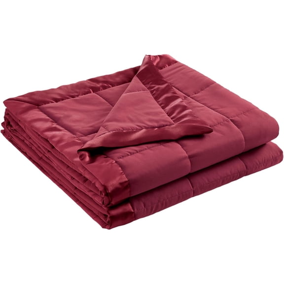Down Alternative Queen Blanket for Bed, Satin Trim, Burgundy | Lightweight Windom Blanket Full Size