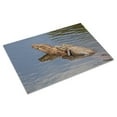 thumbnail image 3 of Print: Gator Alley At The D'olive Boardwalk Park In Daphne, Alabama, Is, 3 of 4