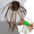 thumbnail image 3 of 10 Pcs Leurres de Pêche Souples dés Forme Moustache Design Couleur Bri ght Appât, 3 of 8