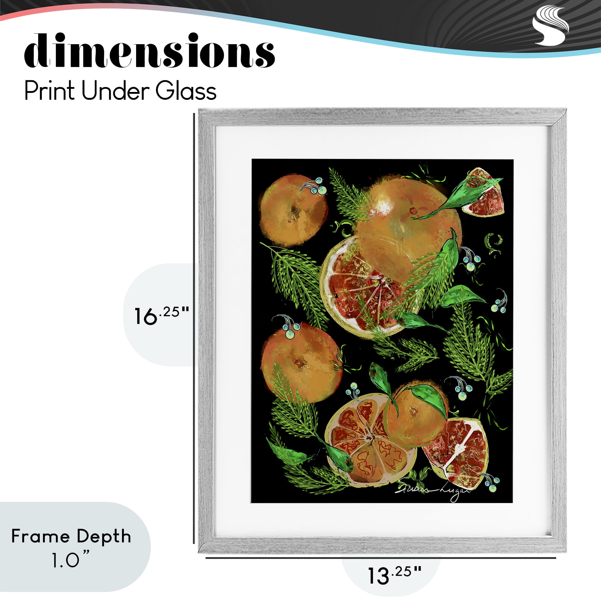 Stupell Industries Grapefruit & Ferns Medley Gray Framed Print Under Glass, design by Susan Lugar
