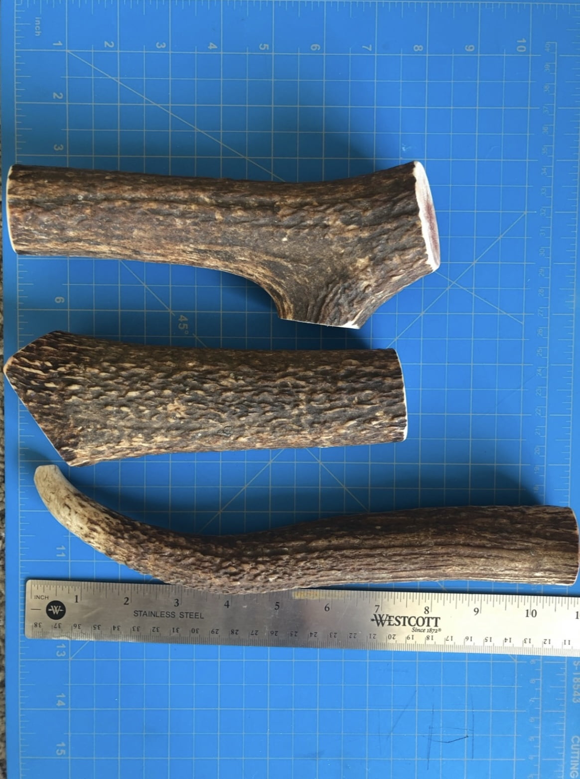TM Antlers Large Whole Elk Dog Chew – Durable, Naturally Shed Treat for Medium & Large Dogs (Whole: 6”-8”, Large, 1-Pack)