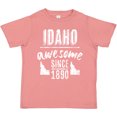 thumbnail image 3 of Inktastic Idaho Awesome Since 1890 Boys or Girls Toddler T-Shirt, 3 of 5