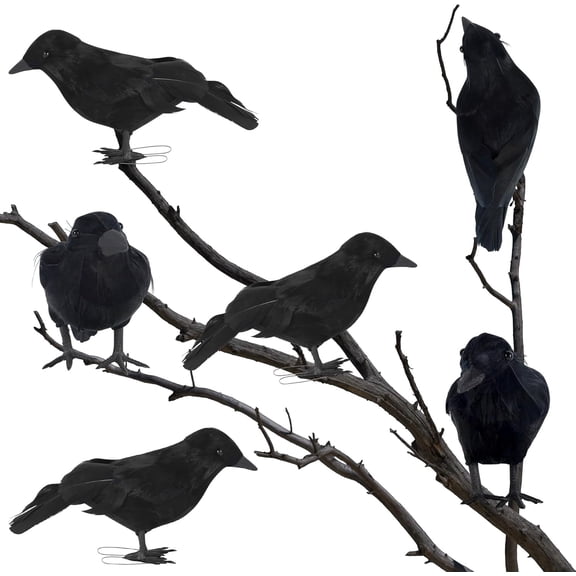 Halloween Birds, Black Feathered Crows, Realistic Looking Halloween Birds Decoration Birds, (6)