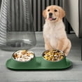 thumbnail image 5 of Cinvoph Raised Bowl Set with 2pcs Feeding Water Bowls Inclined Food and Feeding Bowls, Non-Slip, No Spill for Cats and Small Dogs 16"x9"x3", Green, 5 of 6