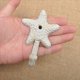 thumbnail image 2 of 3X Estrella de Mar de Pared Decorativos de Hierro Fundido Abrigos Delantales Sombreros Toallas Playa Océano Tema Chic de Metal, 2 of 4