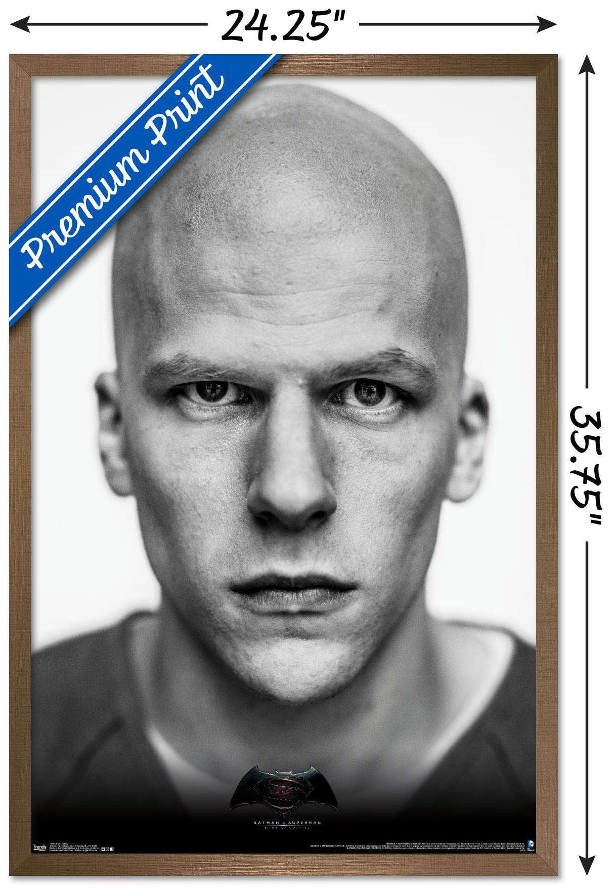 DC Comics Movie - Batman v Superman - Luthor Wall Poster, 22.375" x 34", Framed