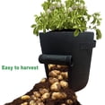 thumbnail image 3 of NAMZI Potato Grow Bag with Flap and Handles, Easy to Harvest Planter Pot Garden Planting Grow Bags for Potato Tomato Onions, Taro, Radish, Carrots and Other Vegetables Breathable,7Gallons(Black), 3 of 5