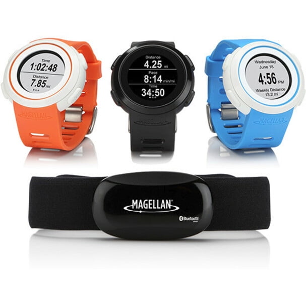 magellan echo watch
