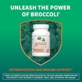 thumbnail image 4 of Nutramax Avmacol Extra Strength for Adults and Children, Moringa, 30 Tablets, 4 of 8