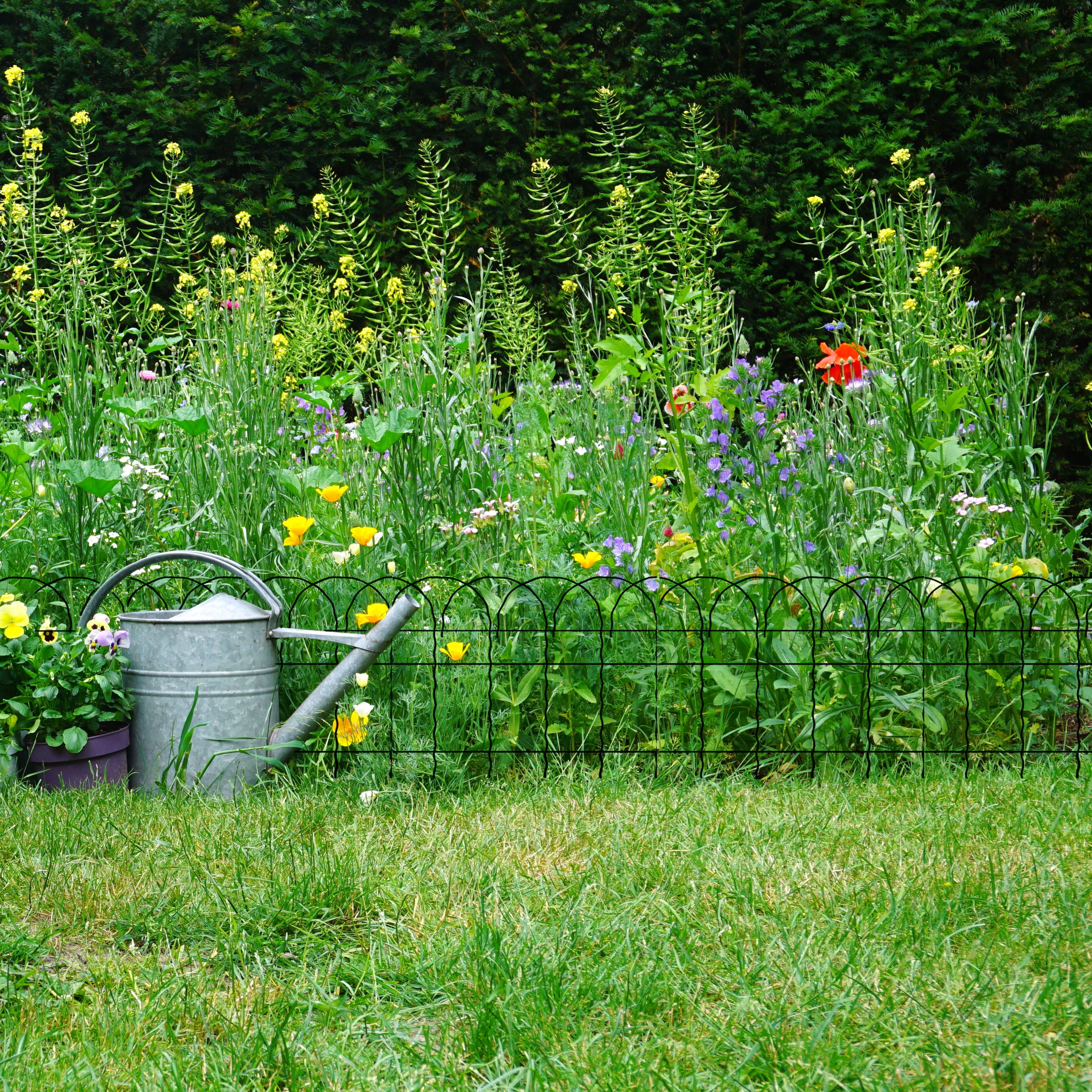 Expert Gardener 20ft Green Rolled Metal Fence