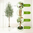 thumbnail image 5 of Faux Olive Tree 5/6/7ft, Artificial Olive Trees Indoor with Natural Wood Trunk and Realistic Leaves and Fruits, Fake Olive Tree for Home House Office Decor, 5 of 6