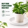 thumbnail image 4 of 16 Pack Plastic Plant Saucers, 6/8/10/12 inches Plant Tray for Pots, Heavy Duty Plant Drip Trays，Flower Water Trays for Indoor Outdoor Plants, 4 of 9