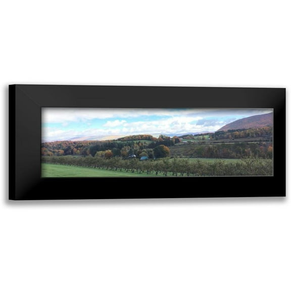 Prime, Marcus 14x7 Black Modern Framed Museum Art Print Titled - Seasons Change 2