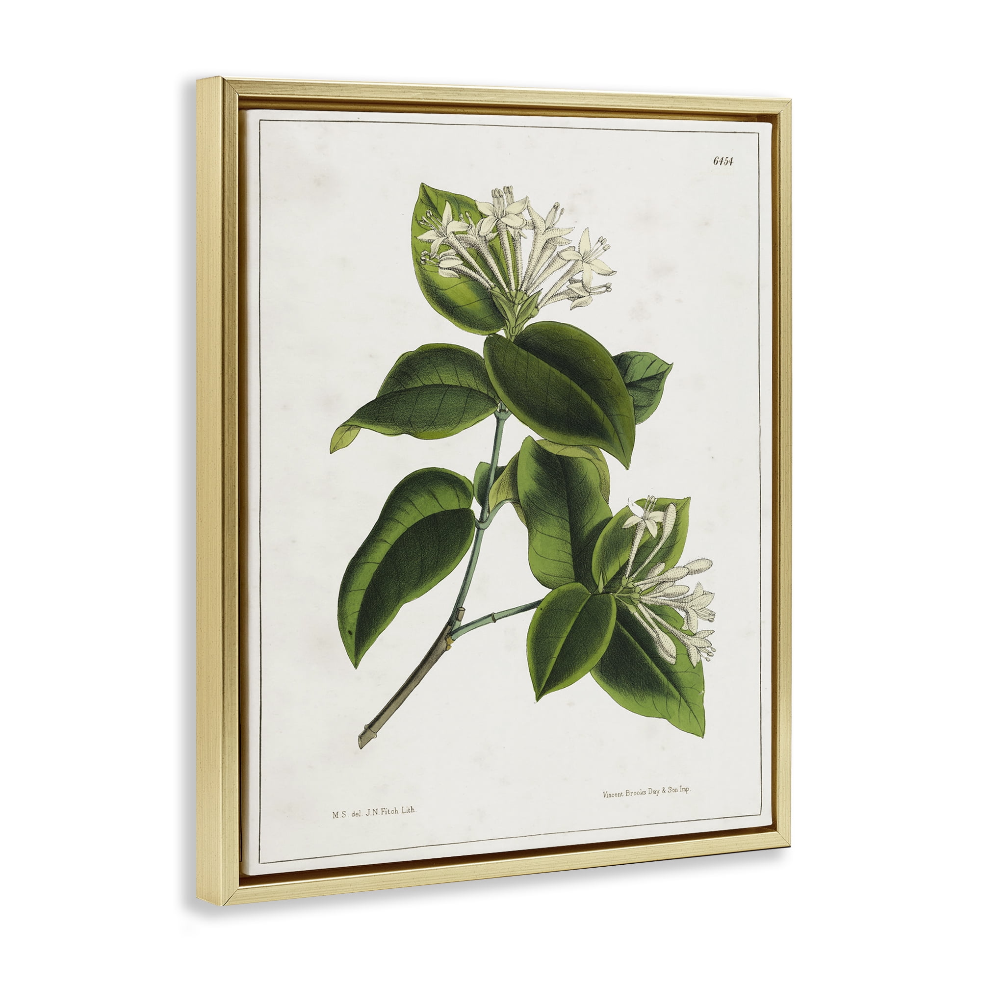 Stupell Industries Blooming Vintage Study Plants & Flowers Painting Gold Floater Framed Canvas Art Print Wall Art, 25 x 31