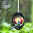 thumbnail image 3 of Coofit Bird Hanging Feeder Plastic Oval Shaped Hummingbird Feeder Parrot Feeder, 3 of 10