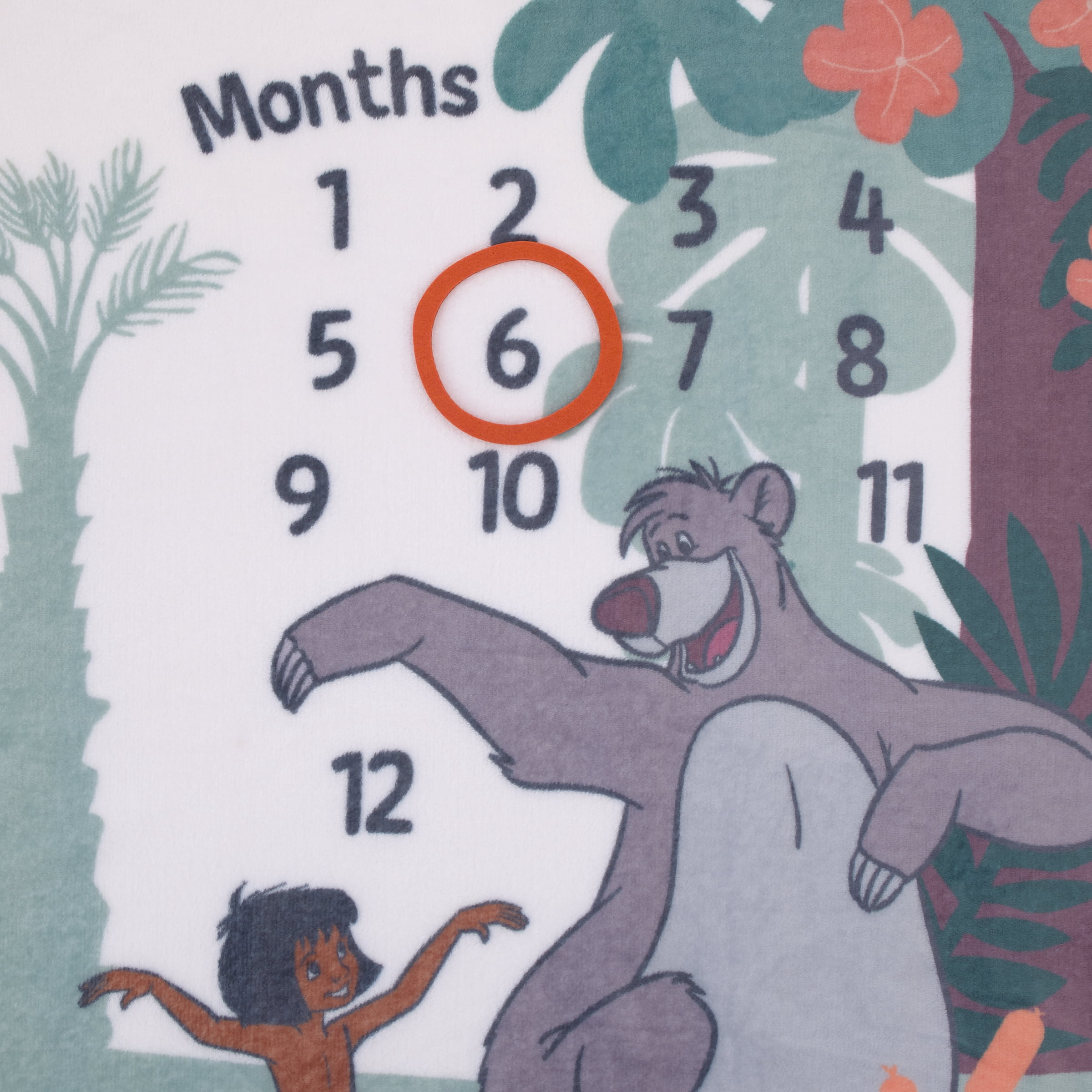 Disney Jungle Book Photo Op Milestone Baby Blanket