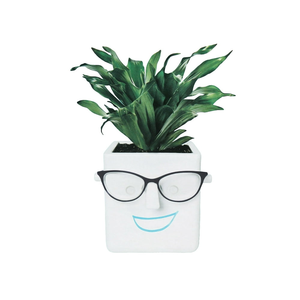 indoor face planter
