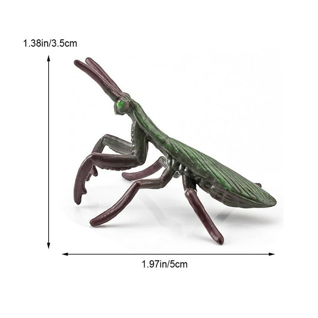 Figuras De Insectos Realistas Figuras De Insectos Modelo De Insectos De Simulación 12PCS Figuras De Insectos Realistas Juguetes Figuras De Juguetes De Insectos De Plástico Con ANGGREK GC1033