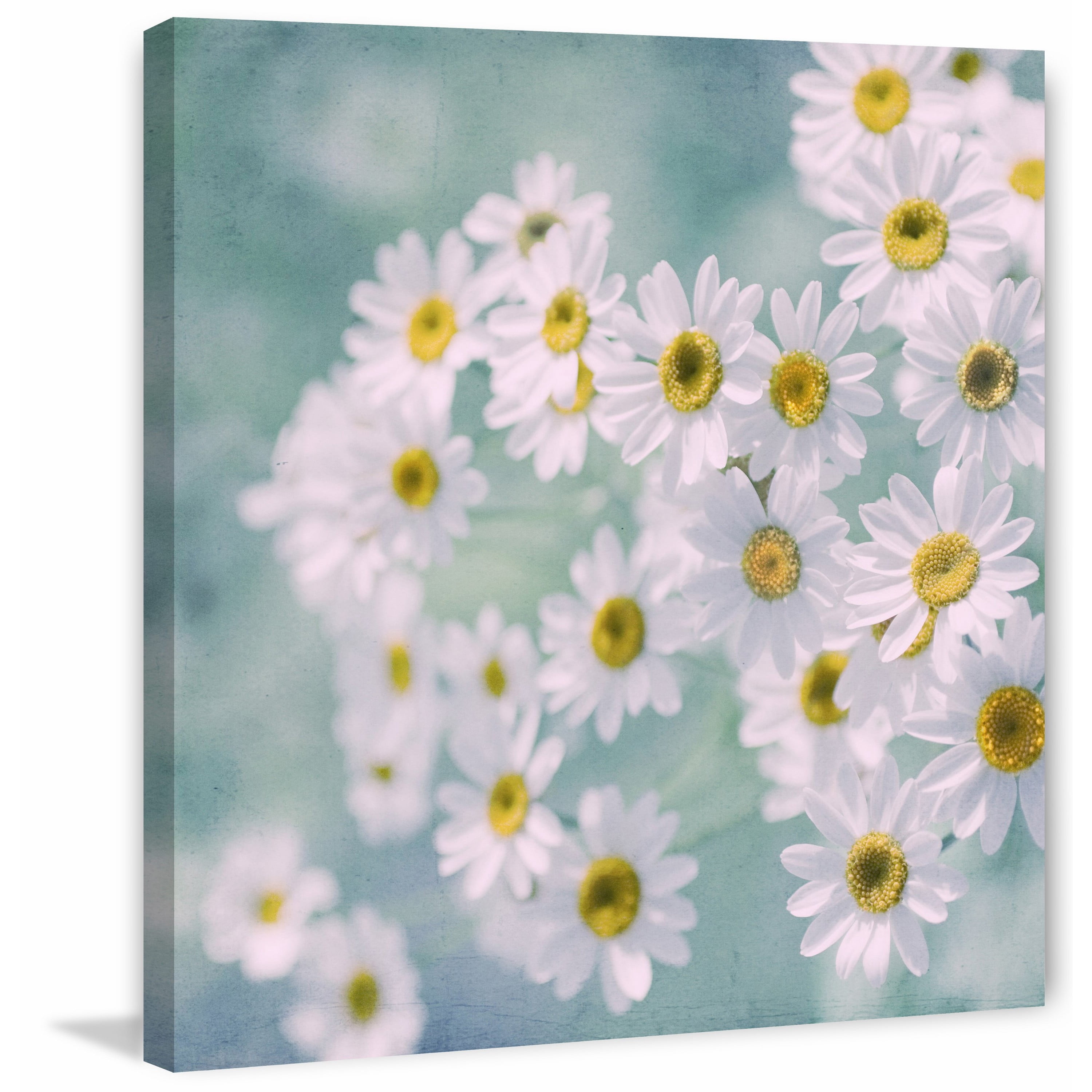 "Fever Few Blossoming" Painting Print on Wrapped Canvas