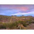 thumbnail image 2 of Fitzharris, Tim 18x15 White Modern Wood Framed Museum Art Print Titled - Mule Ears Peaks-Big Bend National Park-Texas, 2 of 4