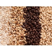 Nu Skool IPA Clone 5 gallon All Grain Advanced Ingredient Kit by My Brew Supply