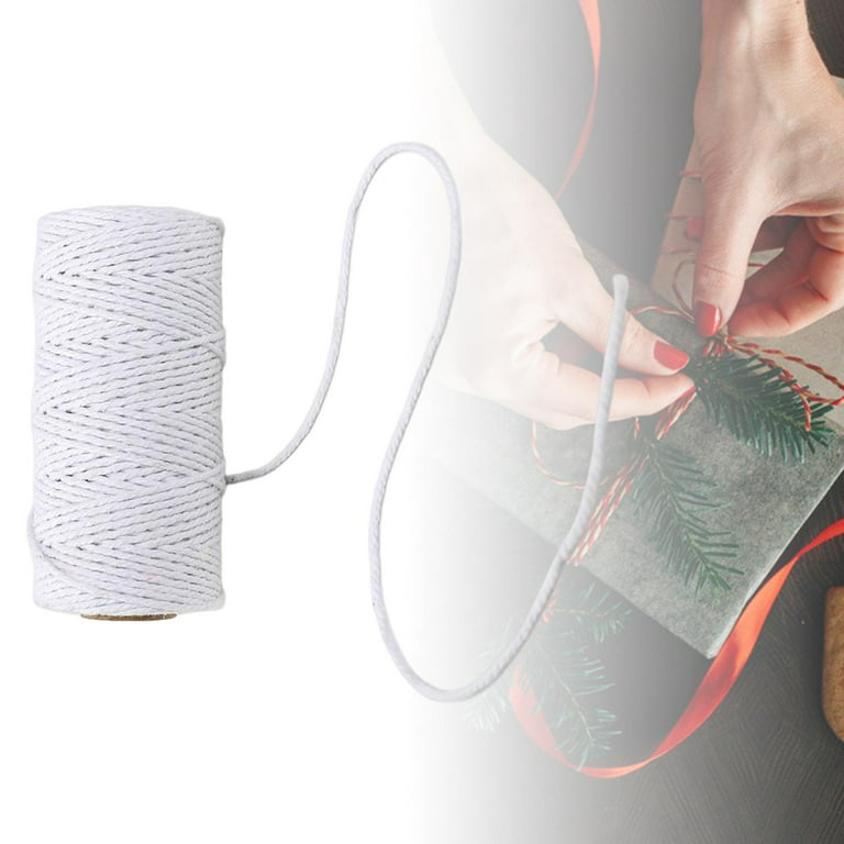 1 Roll 100 Meters 2Ply Cotton Twine DIY Weaving Handmade Craft Rope  (White)-266232.03