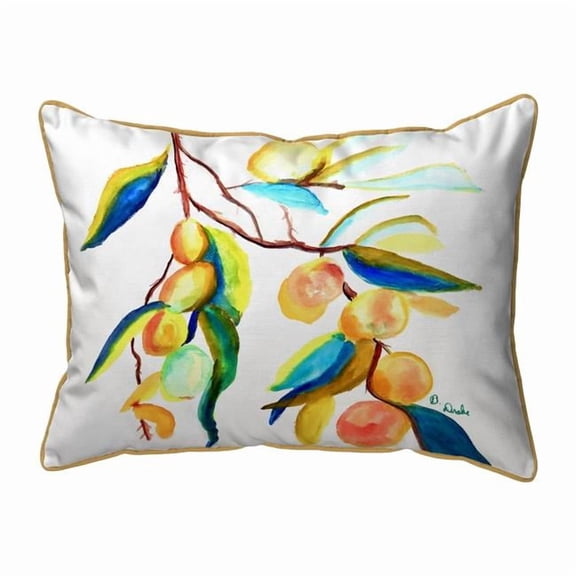 Betsy Drake HJ1534 Peaches II Large Indoor & Outdoor Pillow - 16 x 20 in.