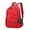 Red, variant on WIZUTIZ Backpack for Women Womens Backpacks with Adjustable Strap Zipper Pockets Backpacks Medium Solid Bags Water Resistant Casual Bag 1 PC Black