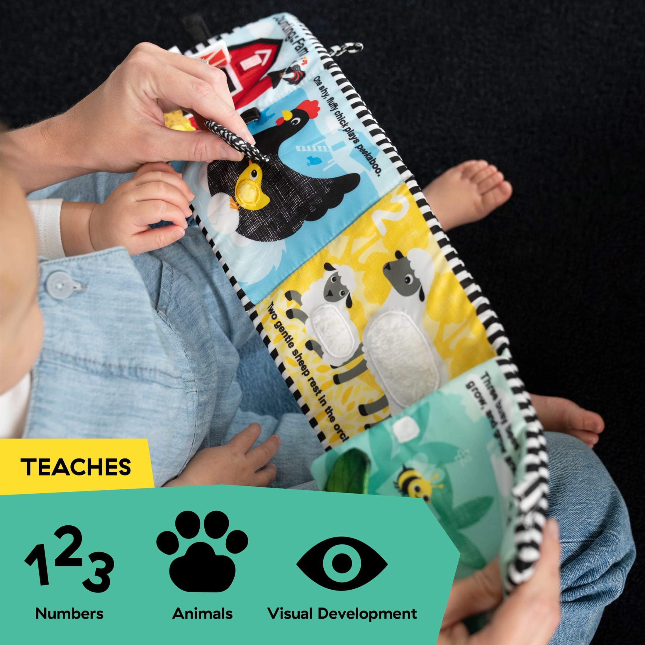 Baby Einstein Farm Explorers Counting at The Farm Soft Activity