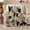 Collie Bouquet, variant on Border Collie Dog Portrait Collage, Peaceful Pet Portrait Pattern, Warm Flannel Blanket for Living Room and Bedroom, Dog Lovers Just Because Gift, Pet Lover Home Decor