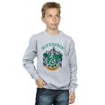 thumbnail image 4 of Harry Potter Boys Slytherin Crest Sweatshirt, 4 of 6
