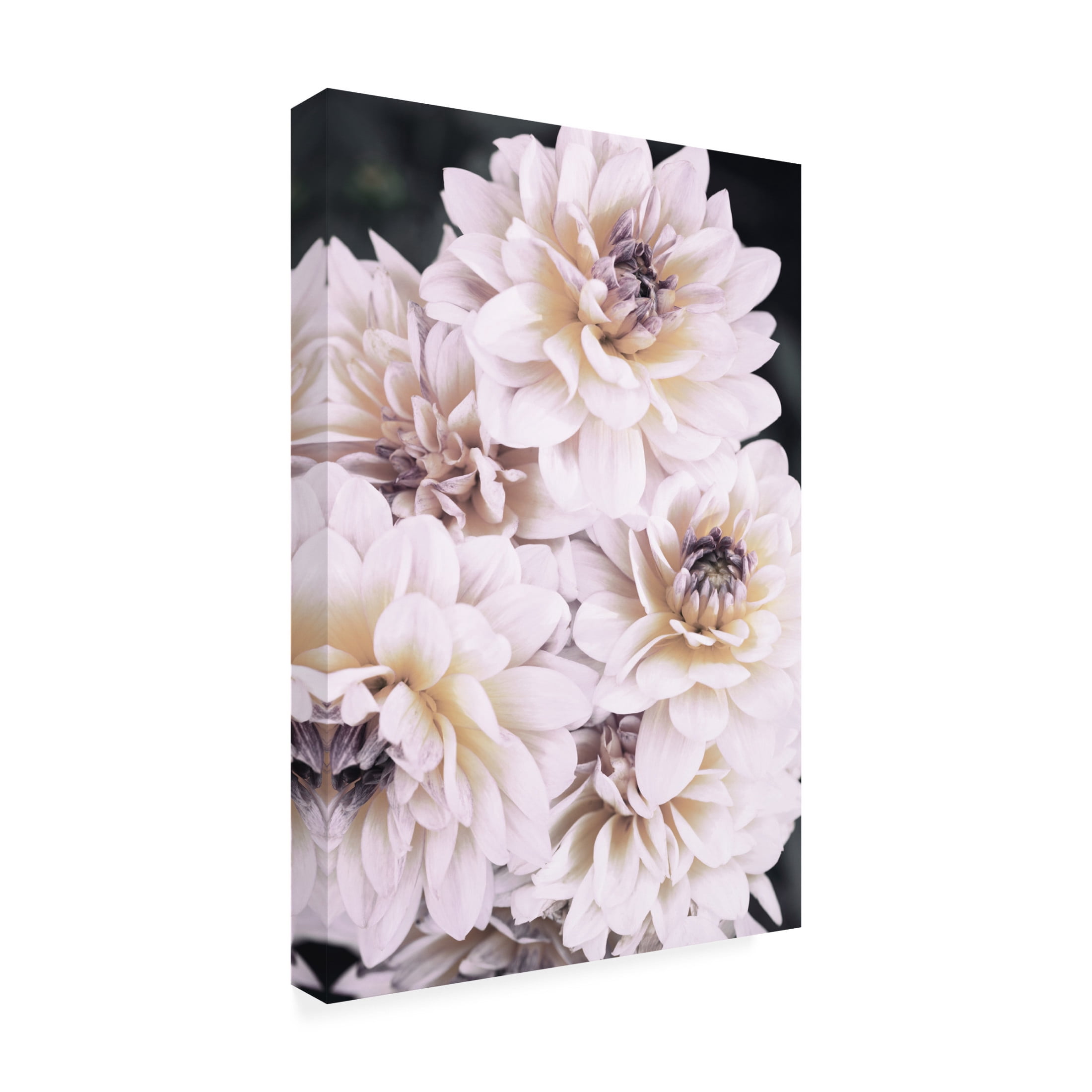 Trademark Fine Art Pictufy Studio Pinkish Flowers Canvas Wall Art