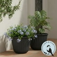 thumbnail image 6 of Lark & Vine Kensington Resin Planter, Durable and Light Weight, 15.9" x 15.9" x 12.6", Black, Set of 2, 6 of 7