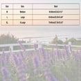thumbnail image 3 of Women Solid Pullover Wireless Bra, Adjustable Thin Straps Breathable Seamless Light Push Up Comfort Lounge Daily Bralette Beige XL(XL), 3 of 7