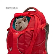 Kurgo G-Train - Dog Carrier Backpack for Small Pets - Cat & Dog Backpack for Hiking, Camping or Travel - Chest Straps & Hip Belt - Reflective - Two Water Bottle Sleeves - Waterproof Bottom (Black)