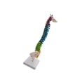 thumbnail image 1 of Flexible Spine Model for School Biology Class Anatomical Demonstration with Pelvis Standing, 1 of 9