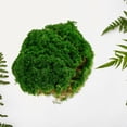 thumbnail image 3 of GOOHOCHY Césped artificial de musgo, accesorio de micropaisaje, musgo artificial decorativo, 3 of 8